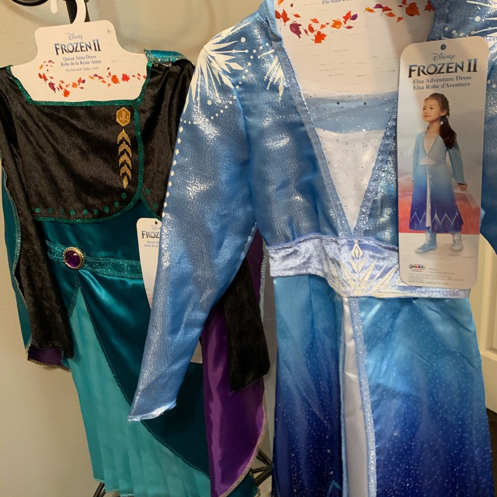 NWT Anna Elsa fashion dress up dress costume 4-6x